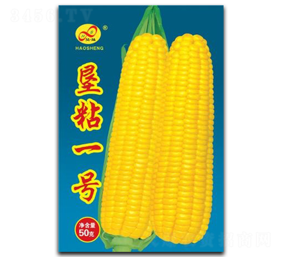 墾粘一號(hào)-糯玉米種子-昊晟種業(yè)