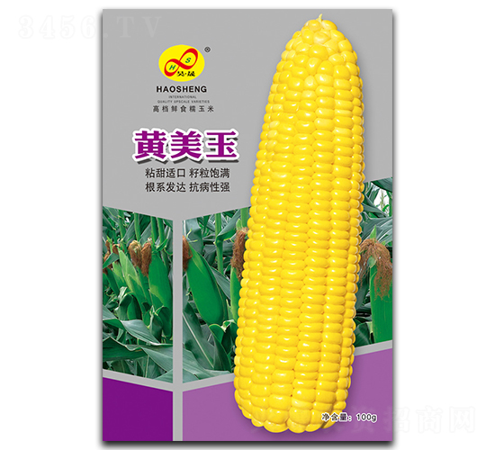 黃美玉-糯玉米種子-昊晟種業(yè)
