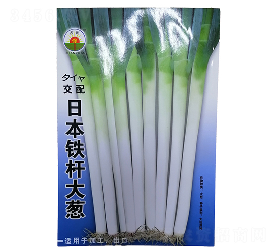 �ձ��F�U���[-���[�N��-�����r(n��ng)�I(y��)