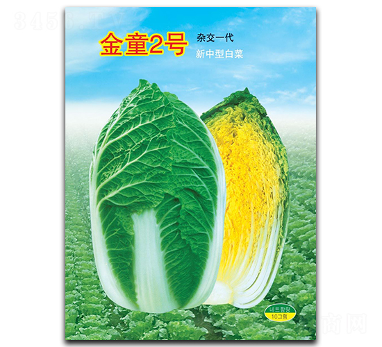 ��ͯ2̖(h��o)-�ײ˷N��-�A�߷N�I(y��)