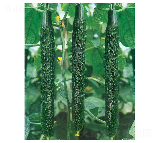 �°l(f��)�F(xi��n)-�S�ϷN��-�A�߷N�I(y��)