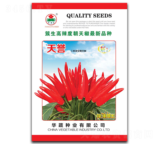 天譽(yù)-朝天椒種子-華蔬種業(yè)