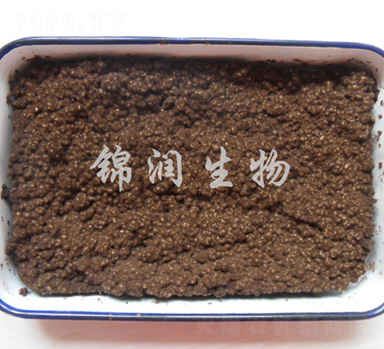 ����ù�P����-�\������