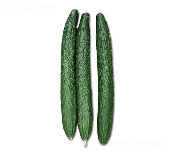 ꑻ�2̖(h��o)-�S�ϷN��-혳�