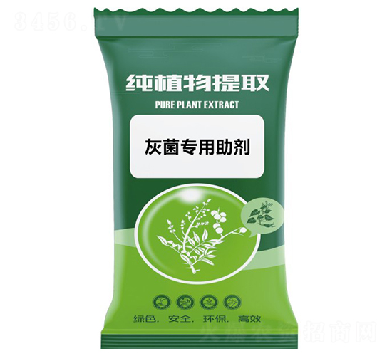 �Ҿ���������-ǧ���