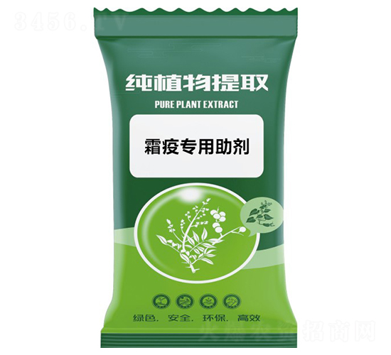 ˪�ߌ�������-ǧ���