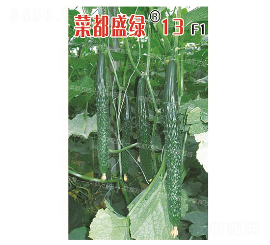 �˶�ʢ�G13-�S�ϷN��-�˶��f(w��n)ʢ