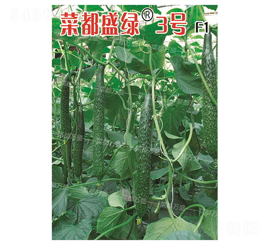 �˶�ʢ�G3̖(h��o)-�S�ϷN��-�˶��fʢ