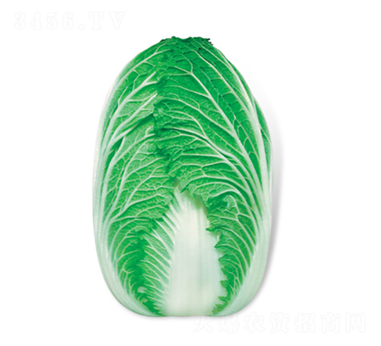 ��g-��ײ˷N��-���A�N�I(y��)