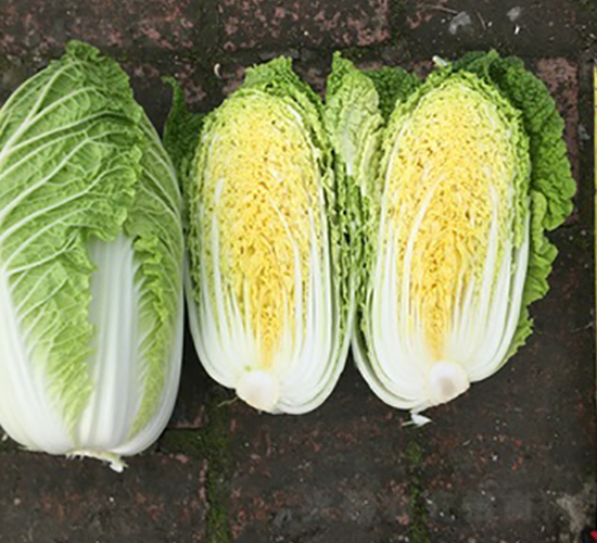 �����O��-��ײ˷N��-���A�N�I(y��)