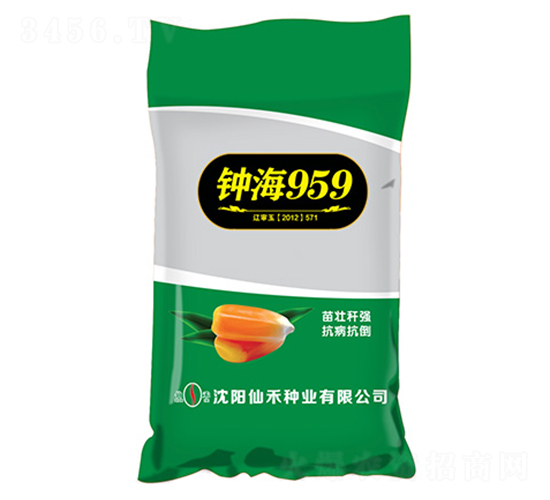 鐘海959-玉米種子-仙禾種業(yè)