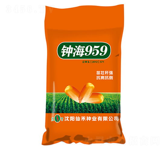 鐘海959（橙袋）-玉米種子-仙禾種業(yè)