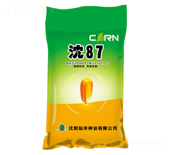 沈87-玉米種子-仙禾種業(yè)