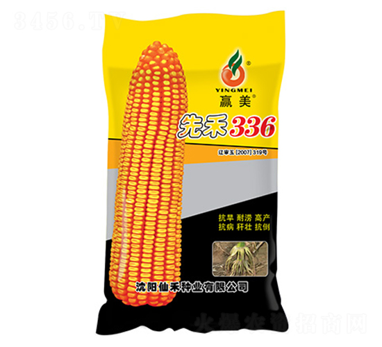 先禾336（黃袋）-玉米種子-仙禾種業(yè)