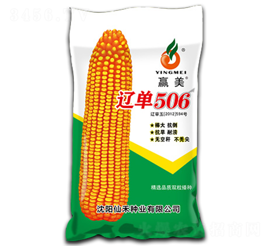 �|��506-���׷N��-�ɺ̷N�I(y��)