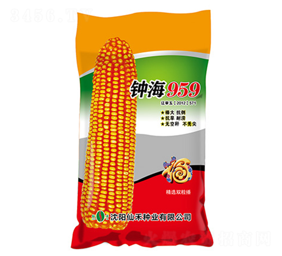 犺�959���t����-���׷N��-�ɺ̷N�I(y��)