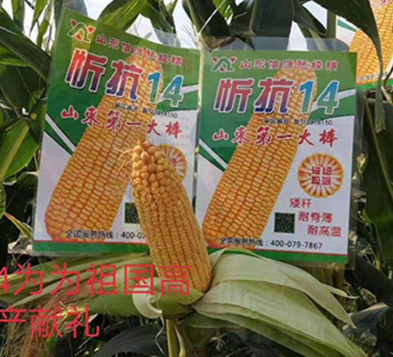 �ÿ�14-���׷N��-��Դ�N�I(y��)