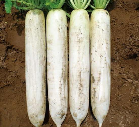 ���w��-�}���N��-��Ļ��