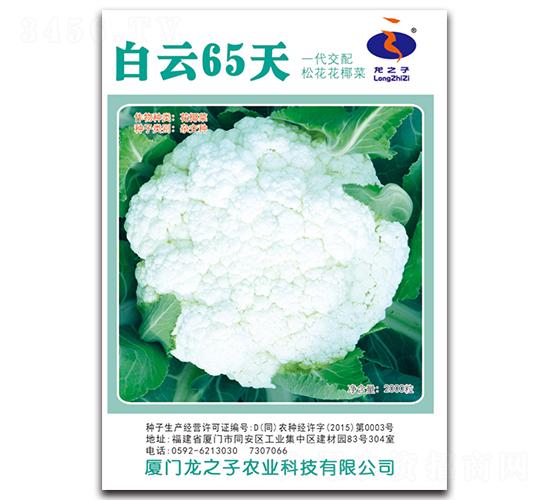 白云65天-松花菜種子-龍之子