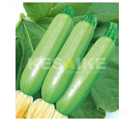 ���������J-�����J�N��-�wِ�w