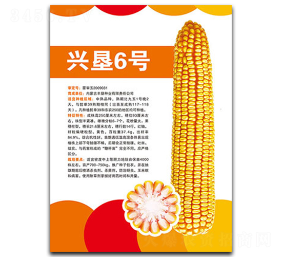 �d��6̖(h��o)-���׷N��-�S���N�I(y��)