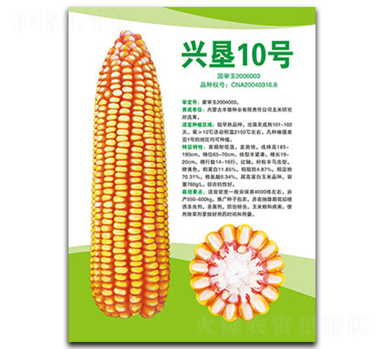 �d��10̖(h��o)-���׷N��-�S���N�I(y��)