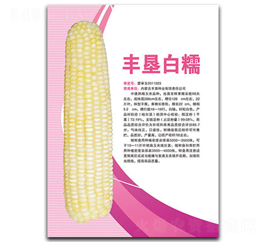 �S����Ŵ-Ŵ���׷N��-�S���N�I(y��)