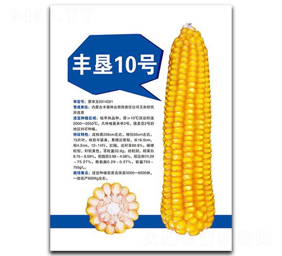 �S��10̖-���׷N��-�S���N�I(y��)