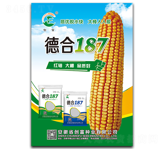 �º�187-���׷N��-��(chu��ng)���N�I(y��)