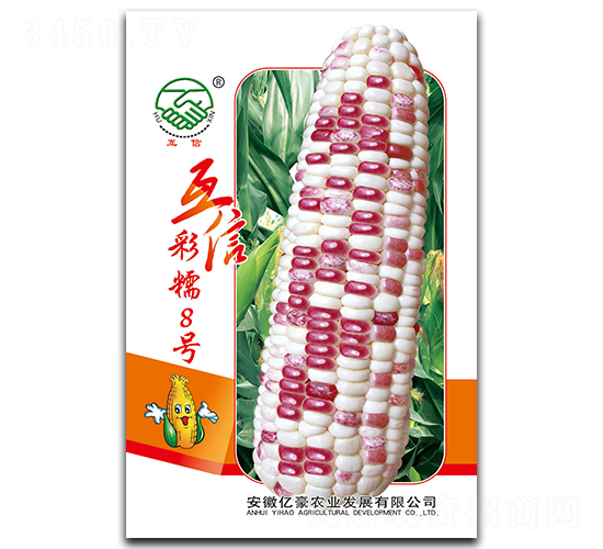 ���Ų�Ŵ8̖-Ŵ���׷N��-�|���r(n��ng)�I(y��)