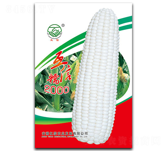 ����Ŵ2000-Ŵ���׷N��-�|���r(n��ng)�I(y��)