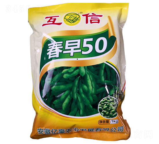 春早50-毛豆種子-億豪農(nóng)業(yè)