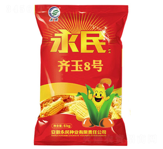 齊玉8號-玉米種子-永民種業(yè)