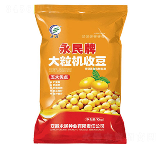 大粒機(jī)收豆-大豆種子-永民種業(yè)