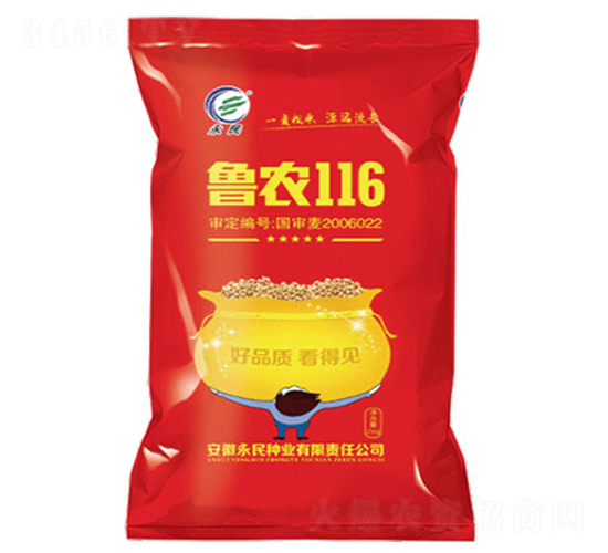魯農(nóng)116-大豆種子-永民種業(yè)