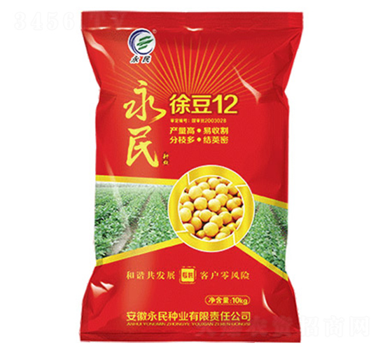 徐豆12-大豆種子-永民種業(yè)