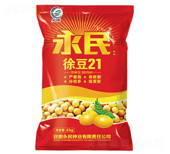 徐豆21-大豆種子-永民種業(yè)