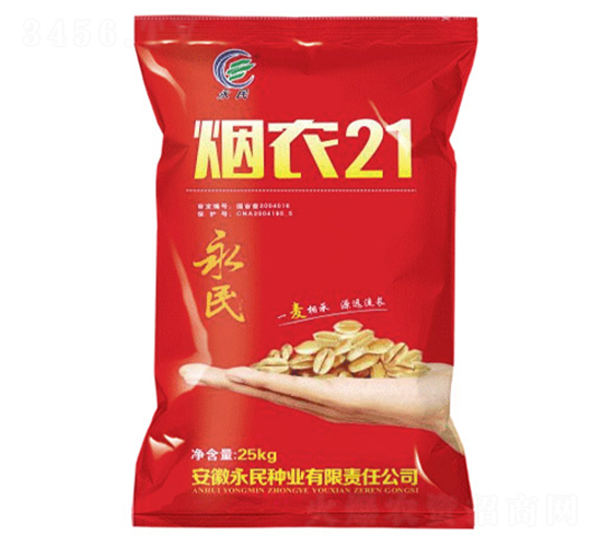 25kg煙農(nóng)21-小麥種子-永民種業(yè)