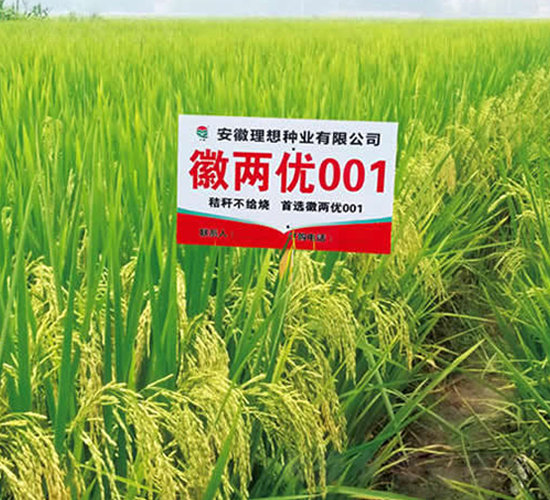 �ՃɃ�(y��u)001-ˮ���N��-����N�I(y��)