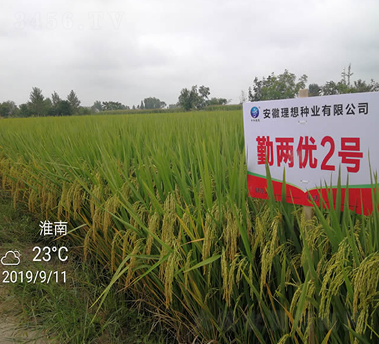 �ڃɃ�(y��u)2̖(h��o)-ˮ���N��-����N�I(y��)