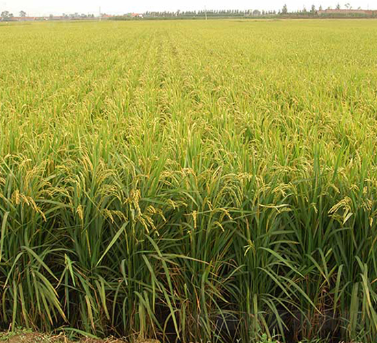 ����10̖(h��o)-ˮ���N��-����N�I(y��)