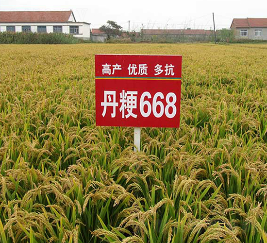 ����668̖-ˮ���N��-����N�I(y��)