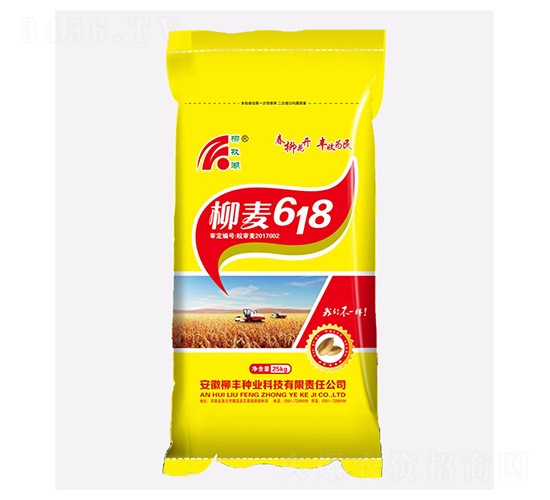 柳麥618-小麥種子-柳豐種業(yè)