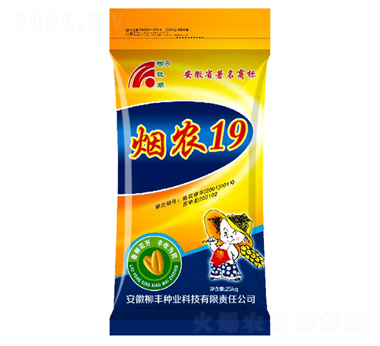 ���r19-С���N��-���S�N�I(y��)