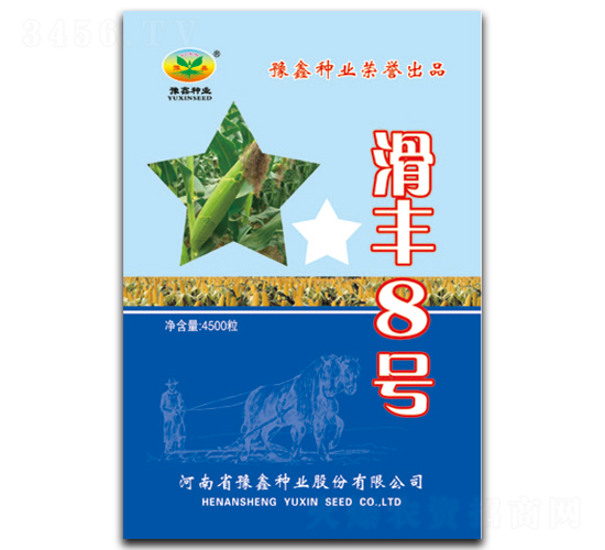 滑豐8號(hào)-玉米種子-豫鑫種業(yè)