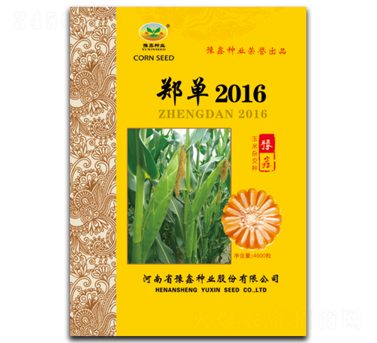 鄭單2016-玉米種子-豫鑫種業(yè)