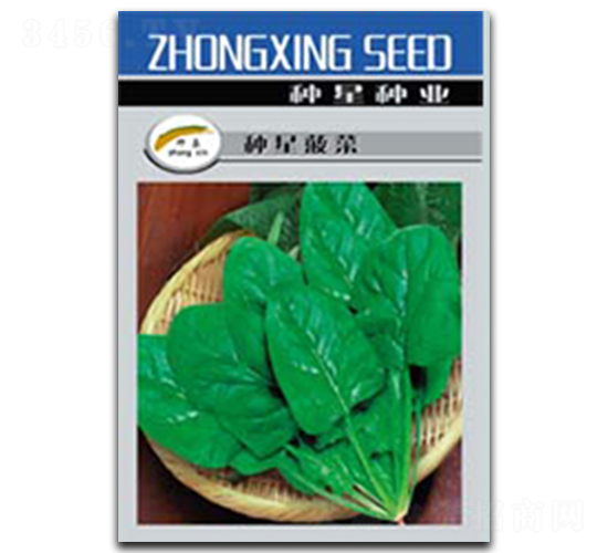 種星菠菜-菠菜種子-種星種業(yè)