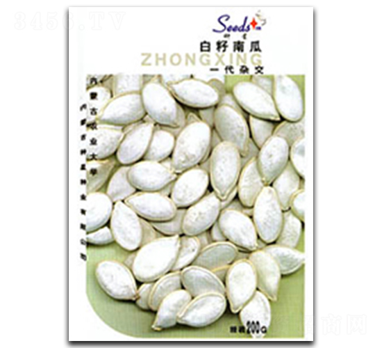 �����Ϲ�-�ϹϷN��-�N�ǷN�I(y��)