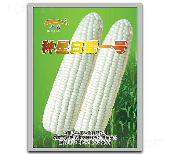 �N�ǰ�Ŵ1̖(h��o)-Ŵ���׷N��-�N�ǷN�I(y��)