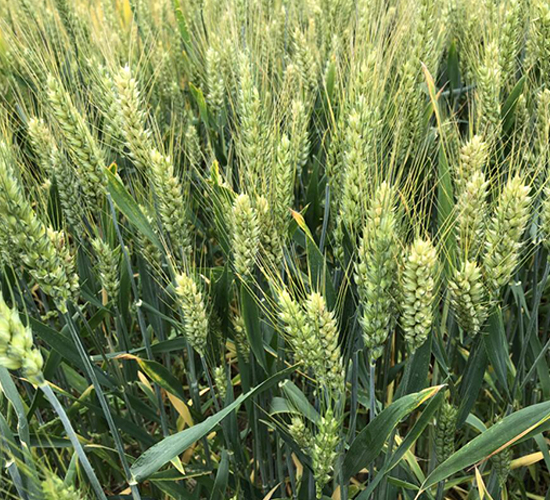 ݆�x13-С���N��-������